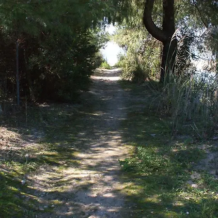 Spathies Maris * كالوغريا