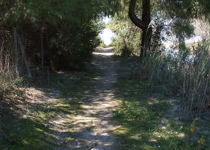 Spathies Maris * Kalogria (Sithonia)